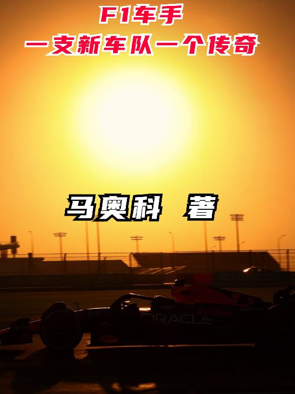 f1十大赛车手